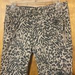 Democracy  Abroad Ab Technology animal print pants. Size 6 Photo 1