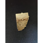 VTG Lions Club Pin District Four California Nevada Home White Canes Days Lapel Photo 3