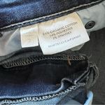 Eileen Fisher  Organic Cotton Skinny Jeans Photo 3