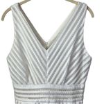 AQUA White Mesh Neoprene Striped Fit And Flare Dress Size M Photo 3