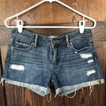 Paige jimmy jimmy distressed medium wash jean shorts size 26 Photo 0