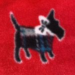 PJ Couture Sleep Set Photo 6