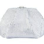 olga berg Charley Hotfix Crystal Bag in White New Womens Clutch Crossbody party Photo 10