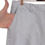 Talbots Lightweight Seersucker Striped Ankle Pants Size 8 Nautical Beachy Preppy Photo 5