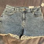 Maurice's  Vintage shorts Photo 0