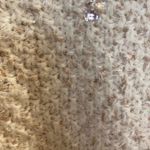 Betsey Johnson Ivory Jeweled Cable Knit Crochet Infinity Cowl Neck Scarf Photo 3