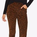 Sanctuary Cheetah Jeggings Photo 0