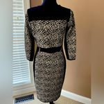 Gabby Skye Sweater Dress Photo 3