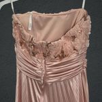 Blush Speechless  Pink Fancy Dress  Photo 3