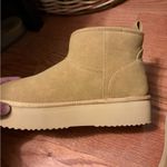 American Eagle  Brown Booties Photo 1