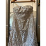 American Eagle Women's  Dress Size 10 Beige Silver Strapless Dress Photo 2