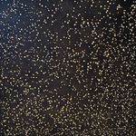 Lauren Merkin NWOT Zippered Black Clutch w/Gold Glitter Photo 2