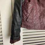 Bernardo LG B Collection Burgundy moto Jacket Photo 3