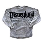 Disney Women's Disneyland Resort Parks Grey Spirit Jersey Vintage Size Small Photo 0