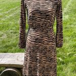Ann Taylor NWT  loft zebra print dress Photo 2
