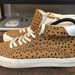 Madewell  Sidewalk Spot Dot Genuine Calf Hair High Top Sneakers Shoes 8.5 Photo 2
