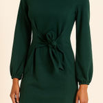 Tobrief Green Long Sleeve Tie Front Mini Dress Size Small NWT Photo 0