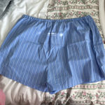 PacSun  Shorts  Photo 0