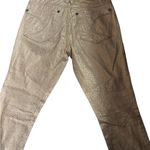 Vertigo Gold Shimmer Jeans Size 26 Photo 3
