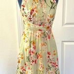 Dress Barn Light Green Sleeveless Floral Chiffon Dress Photo 0