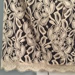 Forever 21 Floral Lace Mini Skirt Photo 7