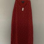 The Limited Clay Terracotta Polka Dot Mini Dress NWT Photo 1