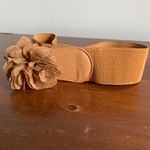 Brown Belt Tan Photo 1