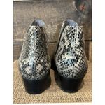 Seychelles  Waiting For You Snake Print Chelsea‎ Boot / Size 7.5 NEW Photo 5