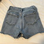AGOLDE Dee Shorts Photo 2
