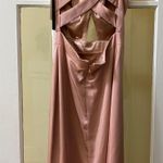 Camille La Vie Pale Pink Long Dress Photo 3
