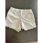 Sofia Vergara White Distressed Shorts size 12 White Photo 1
