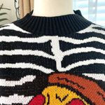 ZARA  Pizza Zebra Stripe Jacquard Knit Sweater Photo 5
