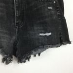 RSQ Buttonfly rawhem distressed highwaisted shorts Photo 9