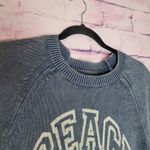 Pilcro  MONOGRAM PEACE KNIT TEE SMALL BRANDY NAOMI 'XPLICIT LYRICS' Photo 2