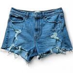 Abercrombie & Fitch Distressed Denim High Ride Mom Jean Shorts size 30/10 Photo 0