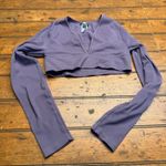 Wild Fable Purple Ribbed Deep V Neck Long Sleeve Crop Top Women's Size L Photo 0