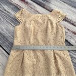 J.Crew NWT  Elsa Cream Lace Sheath Midi Dress with Cap Sleeves Photo 11