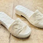 Valentino Garavani NWT  White Atelier Rubber Petal Slides Sandals Size 37 6-7 Photo 1