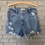 Abercrombie & Fitch  4” Mom Short High Rise Size 28/6 Curve Love Photo 3