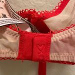 Victoria's Secret NWT Dream Angels Sequin Heart Bra Photo 6