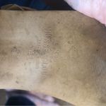 Musse & Cloud  Aimy Dress Caged Peep Toe Woven Sandal Sz. 41/10-10.5 Tan Lace Up Photo 5