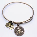 ALEX AND ANI Alex and Ani Seven Swords Bracelet Power & Wisdom Photo 0