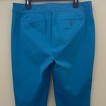 Talbots Chatham Slim Ankle Pants (Blue) - 12 Photo 5