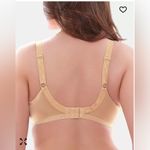 Elomi Full Figure Morgan Banded Underwire Stretch Lace Bra EL4110 NEW 44DD Size undefined Photo 1