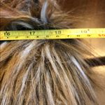 Jack by BB Dakota  Orange and Black Label Photo 2