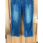 Pilcro Anthropologie  & The Letterpress Stet Mid Rise Cropped Jeans Women’s sz 29 Photo 1