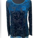 Teal velvet burnout Long Sleeve tunic top Whimsigoth Green Photo 0