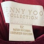 Jenny Yoo  Collection Sullivan Velvet Dress Dark Berry Photo 6