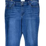 Lane Bryant Skinny Jeans Womens 18 Floral Embroidered Mid Rise Whimsy Boho Photo 2