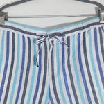 Liz Claiborne Blue Striped Linen Shorts NWOT Size XXL Preppy Striped Shorts Photo 1